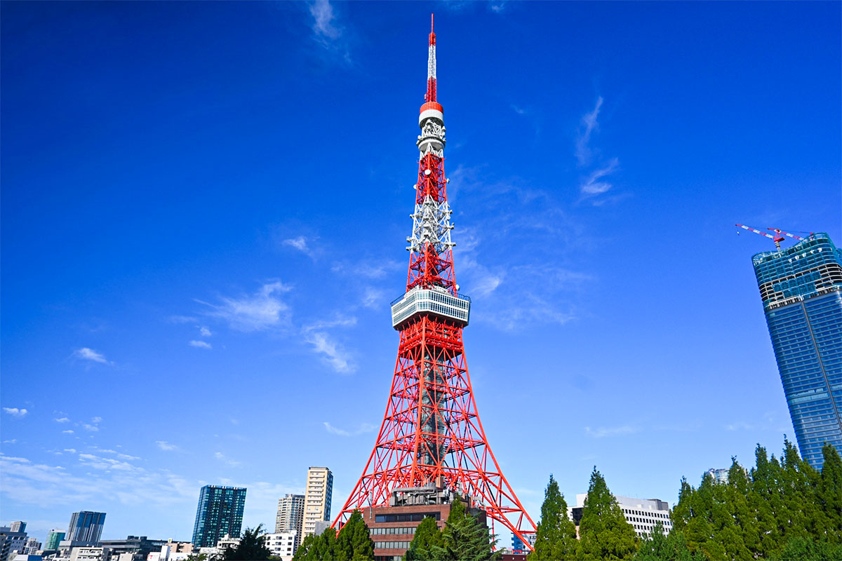 広域エリアへの対応力